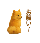 ポメラニアン なぎの挨拶（個別スタンプ：5）
