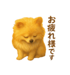 ポメラニアン なぎの挨拶（個別スタンプ：6）