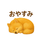 ポメラニアン なぎの挨拶（個別スタンプ：14）