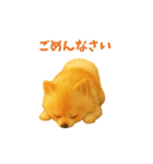 ポメラニアン なぎの挨拶（個別スタンプ：16）