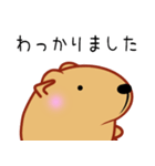 クスっと笑えるきゃぴばら2（個別スタンプ：3）