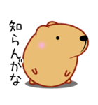 クスっと笑えるきゃぴばら2（個別スタンプ：22）