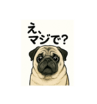 ウチのこむぎちゃん（個別スタンプ：1）