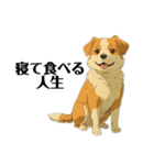 犬がいすぎて大変（個別スタンプ：19）