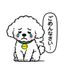 トイプードルの「おもち」（個別スタンプ：9）