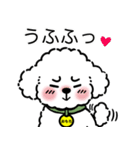 トイプードルの「おもち」（個別スタンプ：11）