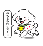 トイプードルの「おもち」（個別スタンプ：13）