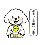 トイプードルの「おもち」（個別スタンプ：15）