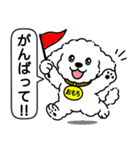 トイプードルの「おもち」（個別スタンプ：16）