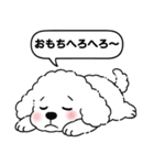 トイプードルの「おもち」（個別スタンプ：20）