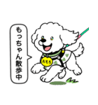 トイプードルの「おもち」（個別スタンプ：21）