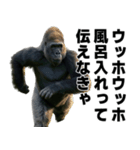 ウッホウッホ構文（個別スタンプ：1）