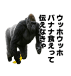 ウッホウッホ構文（個別スタンプ：5）