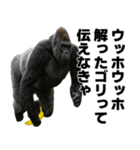 ウッホウッホ構文（個別スタンプ：7）