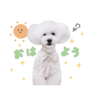 はぴちゃんもこちゃん（個別スタンプ：1）