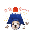 はぴちゃんもこちゃん（個別スタンプ：2）