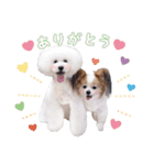 はぴちゃんもこちゃん（個別スタンプ：5）