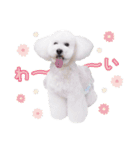 はぴちゃんもこちゃん（個別スタンプ：7）