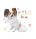 はぴちゃんもこちゃん（個別スタンプ：8）