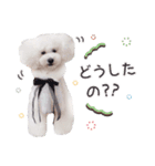 はぴちゃんもこちゃん（個別スタンプ：14）