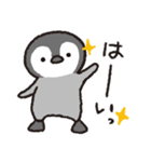 ぺんぎんちゃん、時々タコさん（個別スタンプ：3）