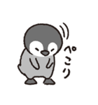 ぺんぎんちゃん、時々タコさん（個別スタンプ：10）
