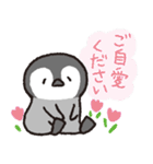 ぺんぎんちゃん、時々タコさん（個別スタンプ：12）