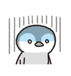 ぺんぎんちゃん、時々タコさん（個別スタンプ：21）
