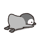 ぺんぎんちゃん、時々タコさん（個別スタンプ：23）