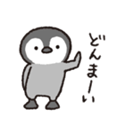ぺんぎんちゃん、時々タコさん（個別スタンプ：24）