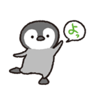 ぺんぎんちゃん、時々タコさん（個別スタンプ：29）