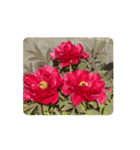 赤い牡丹の花 スタンプ（個別スタンプ：15）