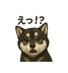 甘えん坊黒柴くん（個別スタンプ：4）