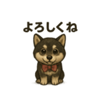 甘えん坊黒柴くん（個別スタンプ：11）