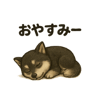 甘えん坊黒柴くん（個別スタンプ：16）