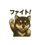 甘えん坊黒柴くん（個別スタンプ：31）
