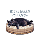 エッホで伝える彼氏ねこ【面白い】（個別スタンプ：14）