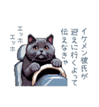 エッホで伝える彼氏ねこ【面白い】（個別スタンプ：17）