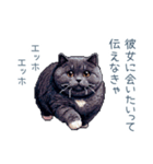 エッホで伝える彼氏ねこ【面白い】（個別スタンプ：20）