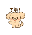 チワワマルチーズハニー（個別スタンプ：1）