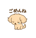チワワマルチーズハニー（個別スタンプ：2）