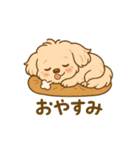 チワワマルチーズハニー（個別スタンプ：4）