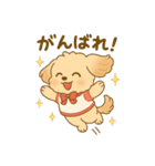チワワマルチーズハニー（個別スタンプ：6）