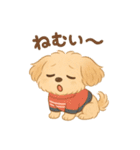 チワワマルチーズハニー（個別スタンプ：8）