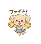 チワワマルチーズハニー（個別スタンプ：12）