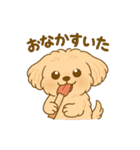 チワワマルチーズハニー（個別スタンプ：14）