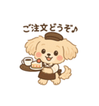 チワワマルチーズハニー（個別スタンプ：18）