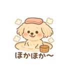 チワワマルチーズハニー（個別スタンプ：19）