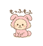 チワワマルチーズハニー（個別スタンプ：20）