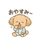 チワワマルチーズハニー（個別スタンプ：21）